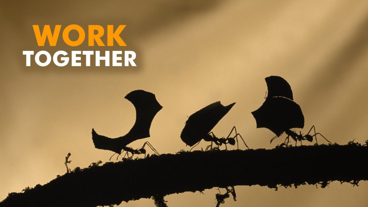 work-together
