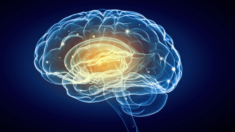 The 9 Types of Intelligence - Everyone has Unique Abilities